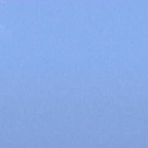 Meet your Posher, Marley